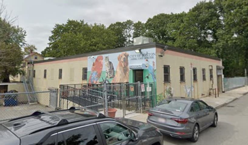 Boston Animal Care and Control Shelter