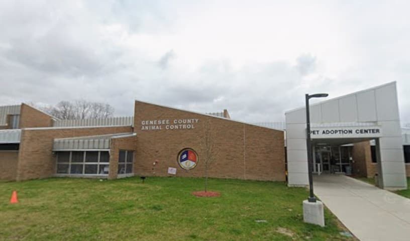 Genesee County Animal Control