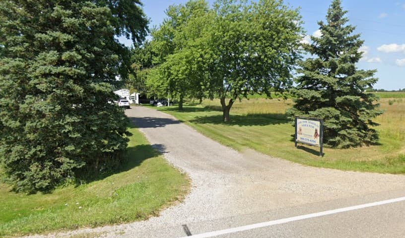 Thumb Animal Shelter