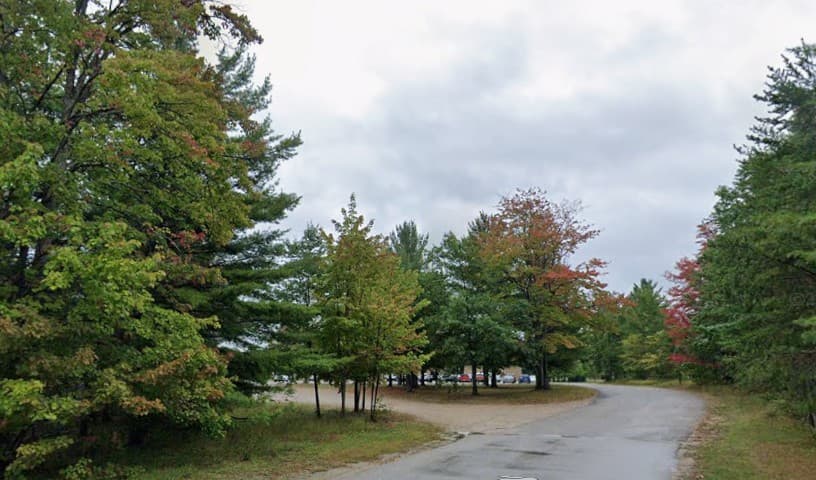 Kalkaska County Animal Control
