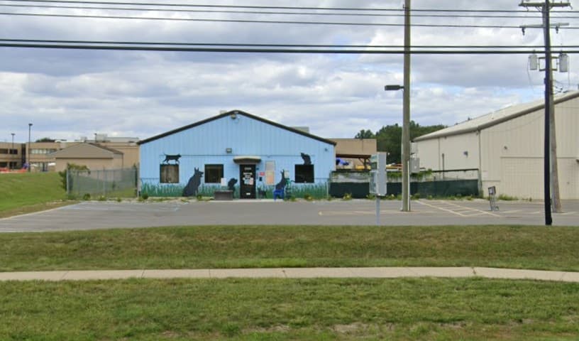 Woodhaven and Trenton Animal Shelter