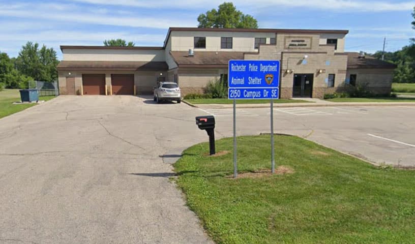 Rochester Animal Control