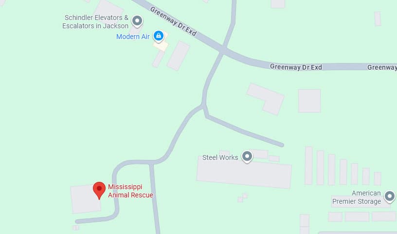 Mississippi Animal Rescue