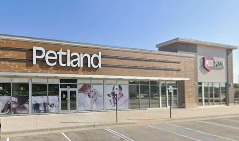 Petland Lee's Summit