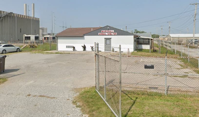 Marshall Animal Shelter