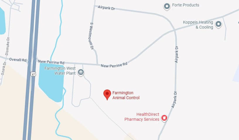 Farmington Animal Control