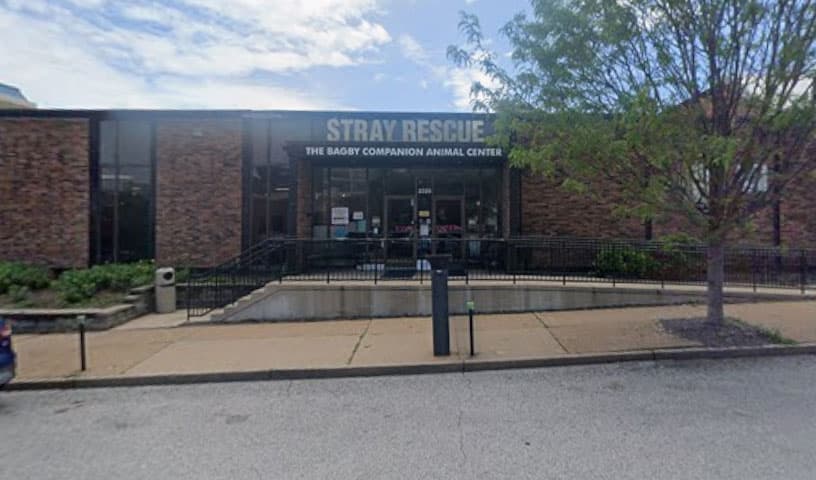 Stray Rescue of St Louis
