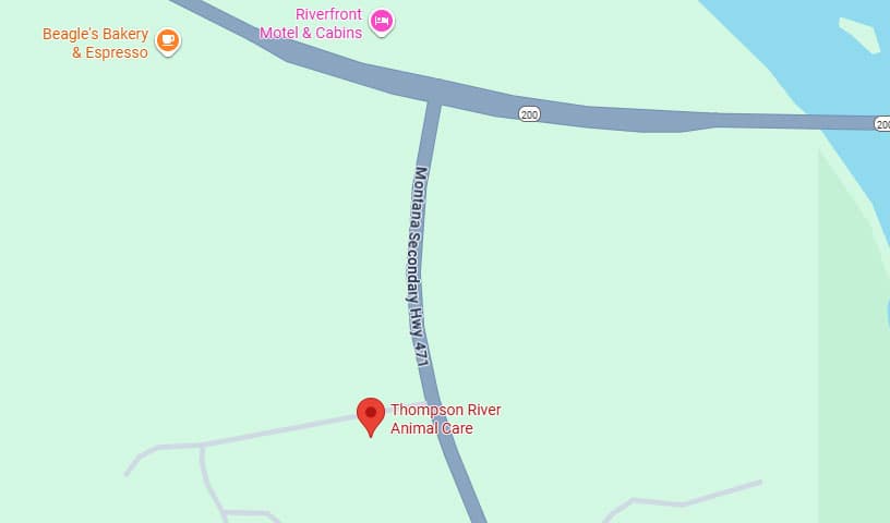Thompson River Animal Care