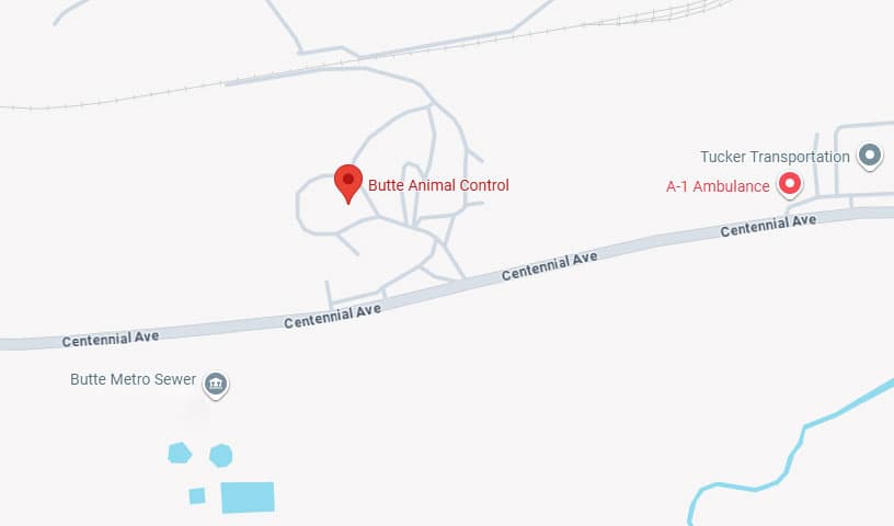 Butte Animal Control