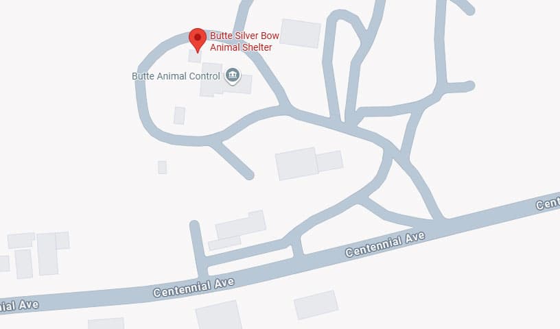 Butte Silver Bow Animal Shelter