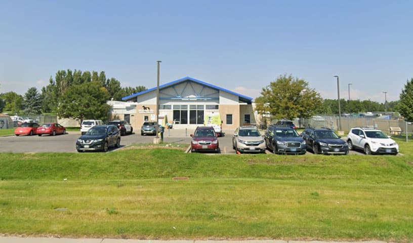 Yellowstone Valley Animal Shelter