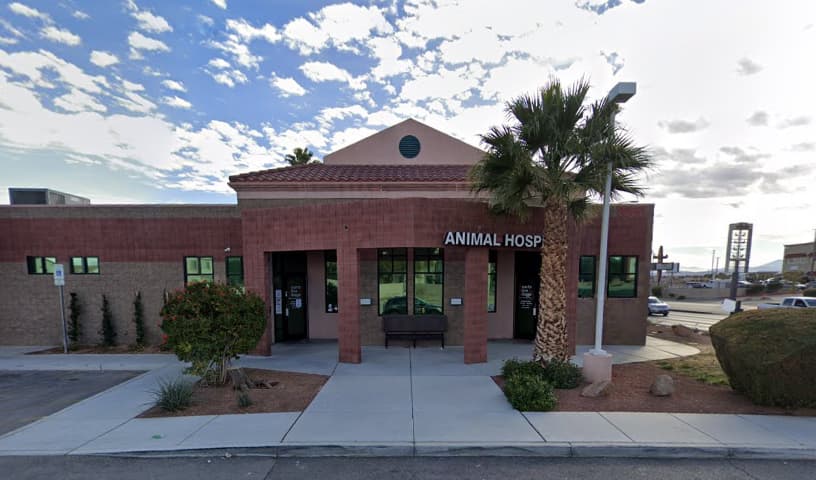 Hearts Alive Village Animal Clinic
