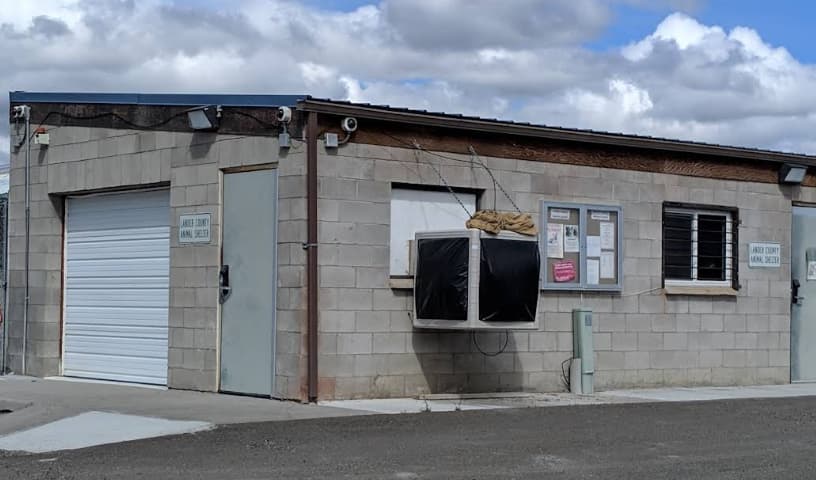 Battle Mountain Lander County Animal Control