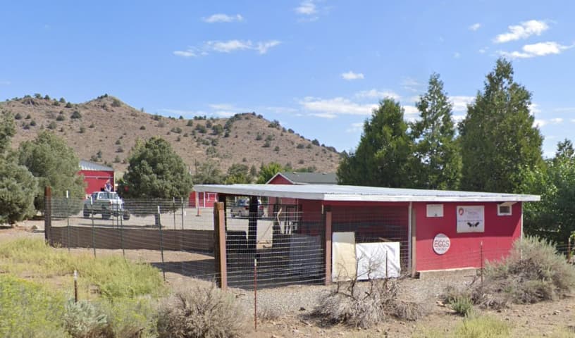 Strawberry Fields Animal Rescue
