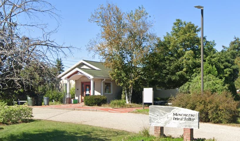 Manchester Animal Shelter