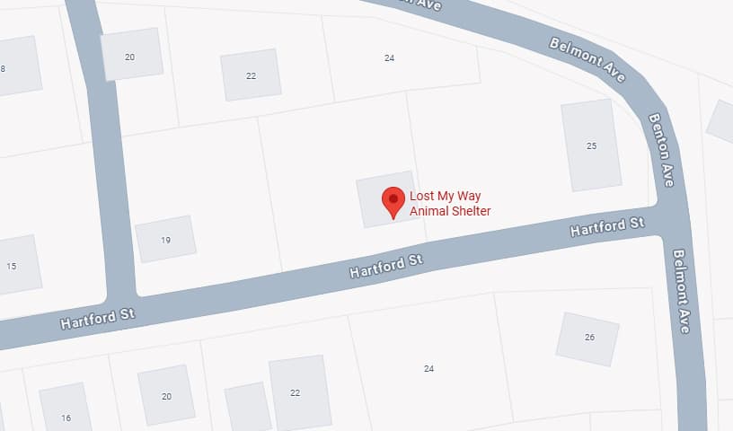 Lost My Way Animal Shelter