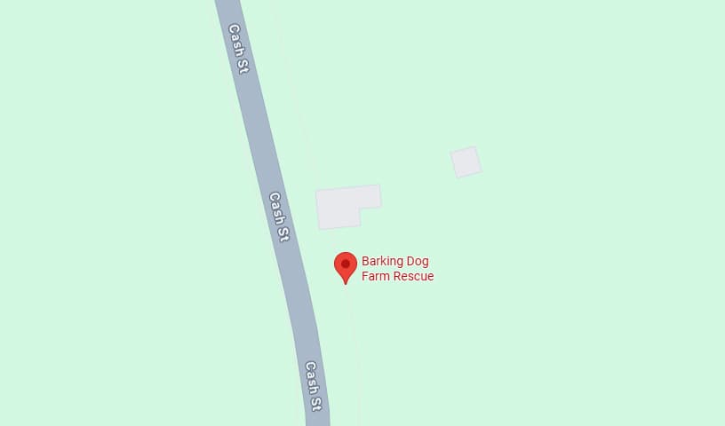 Barking Dog Farm Rescue