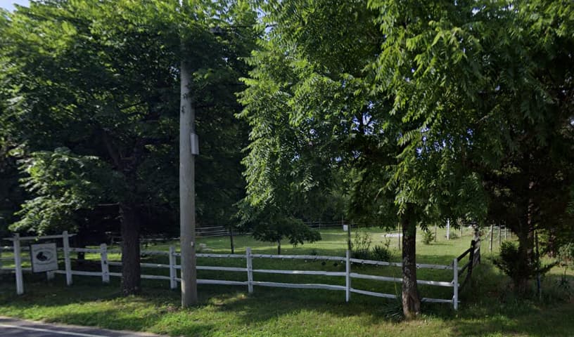 South Jersey Horse Rescue