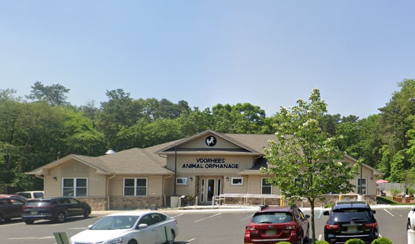 Voorhees Animal Orphanage
