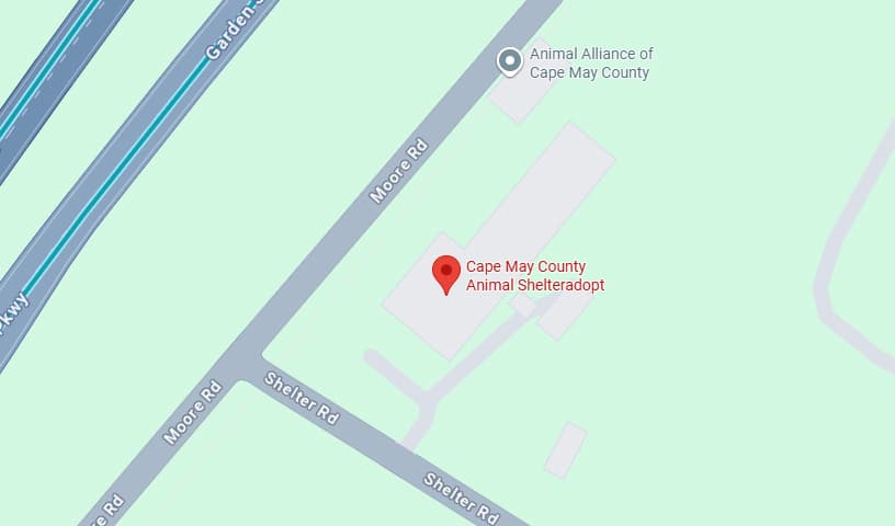 Cape May County Animal Shelter