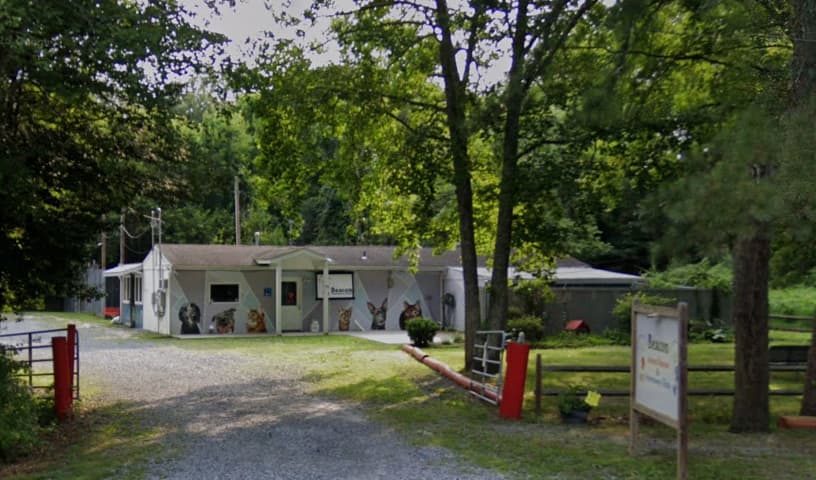 Beacon Animal Rescue