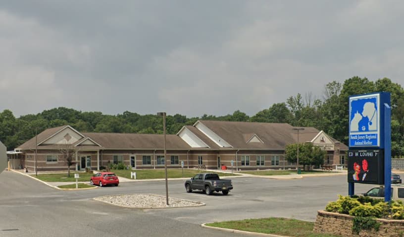 South Jersey Regional Animal Shelter (Associated Humane Societies South)