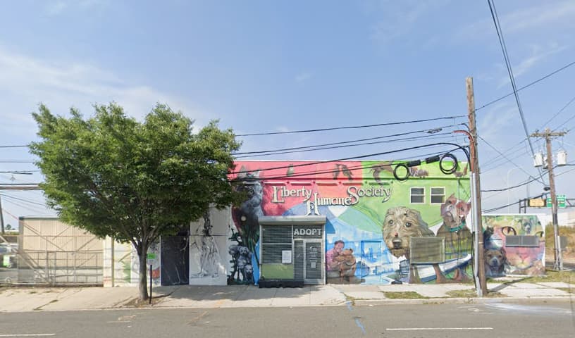Jersey City Animal Shelter