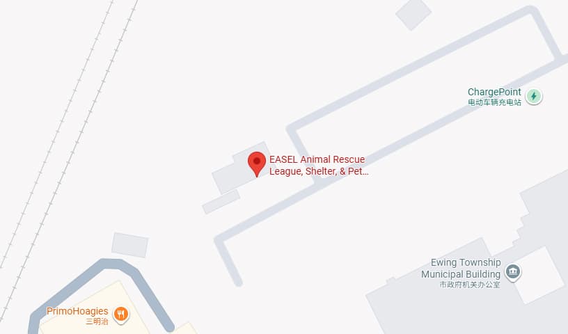 EASEL Animal Rescue League, Shelter, & Pet Adoption
