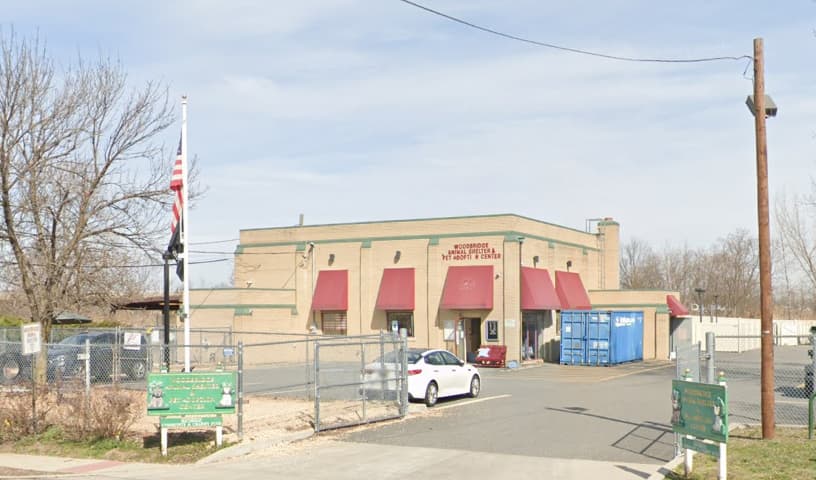 Woodbridge Animal Group
