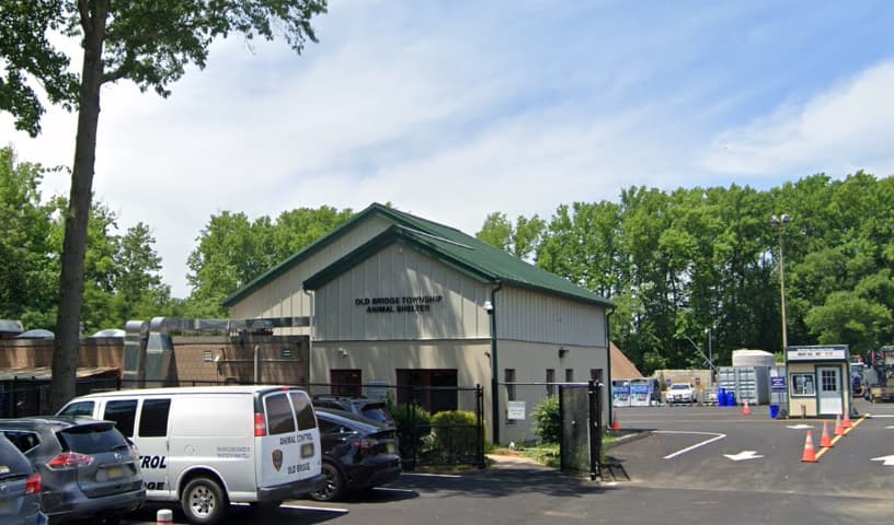 Old Bridge Animal Shelter