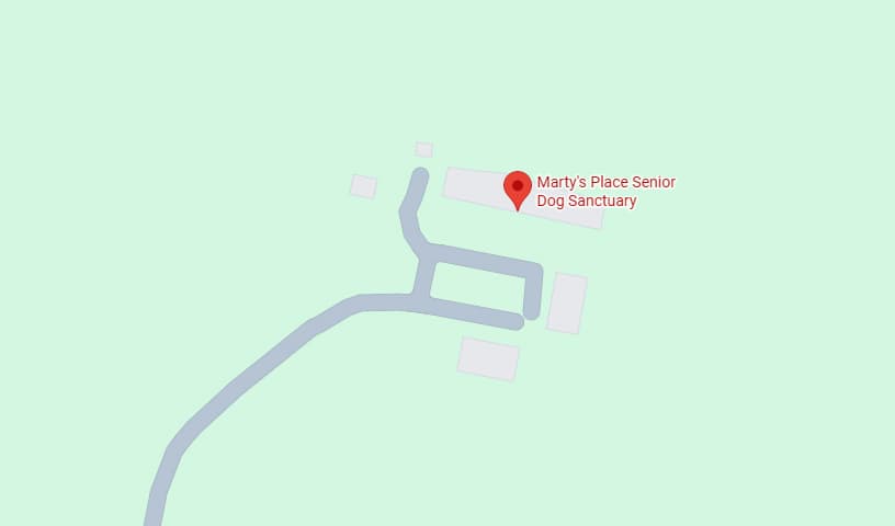Marty's Place Senior Dog Sanctuary