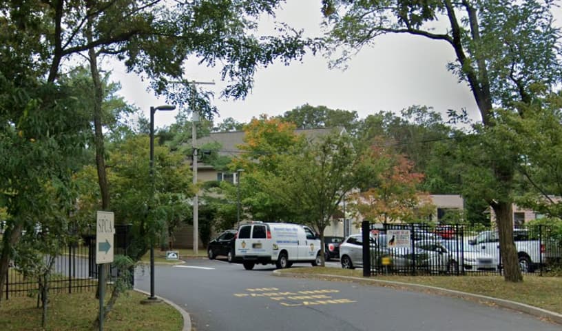 Monmouth County SPCA