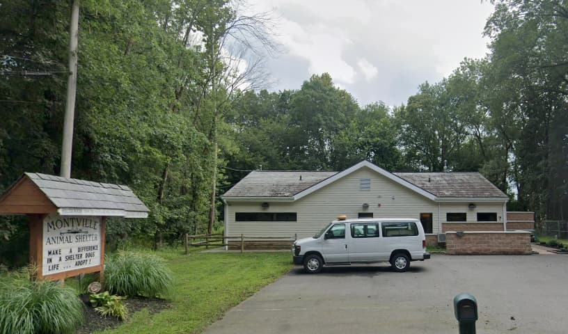 Montville Animal Shelter