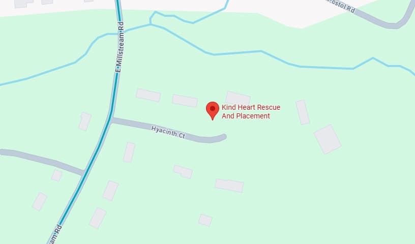 Kind Heart Rescue and Placement