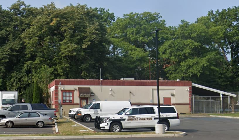 Passaic Animal Control
