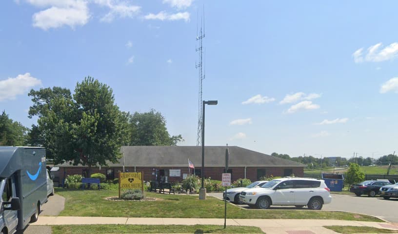 Somerset Regional Animal Shelter