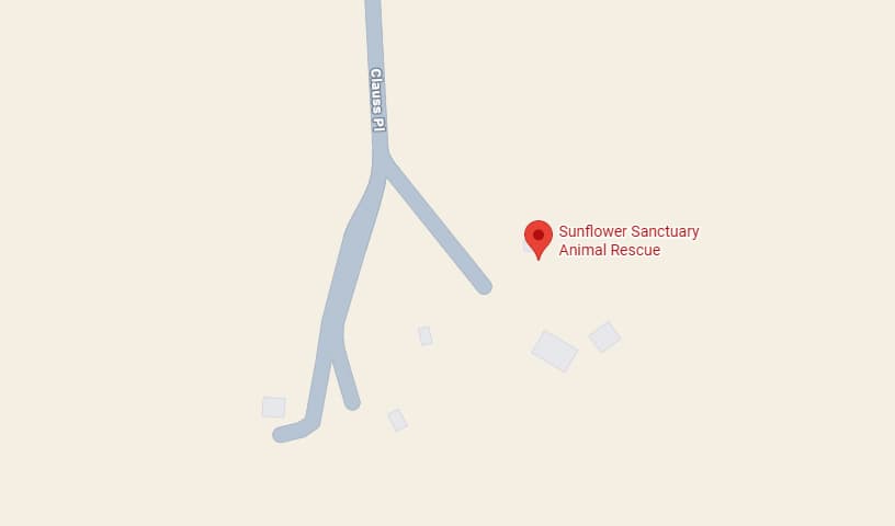 Sunflower Sanctuary Animal Rescue