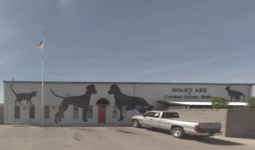 Noah's Ark Animal Shelter