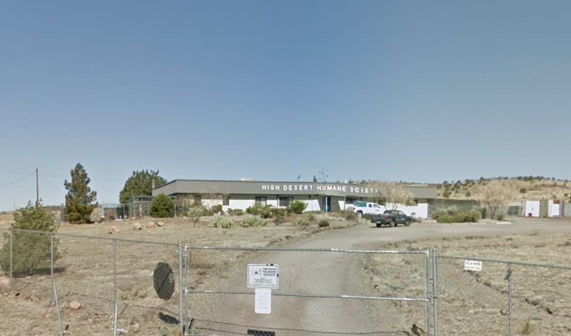 Silver City Animal Control and Shelter