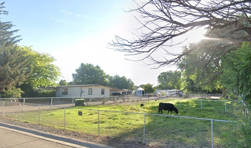 Bloomfield Animal Control