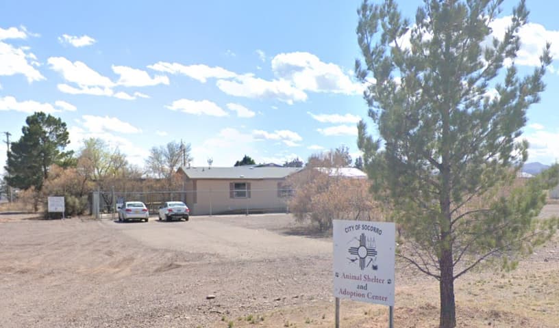 Socorro Animal Shelter & Adoption Center