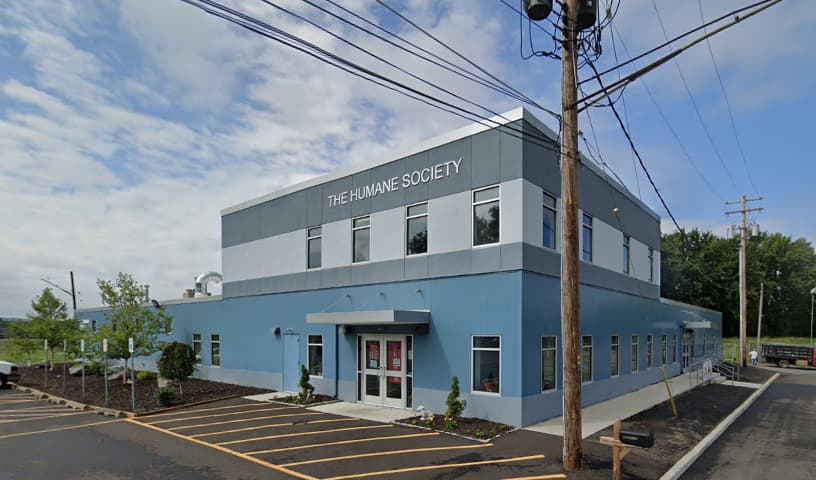 The humane society