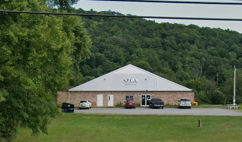 SPCA In Cattaraugus County