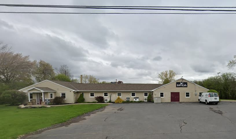 Finger Lakes SPCA of Cny