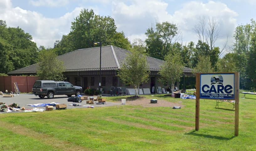 Catskill Animal Rescue