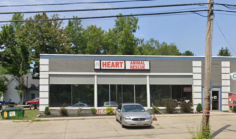 HEART Animal Rescue & Adoption Team