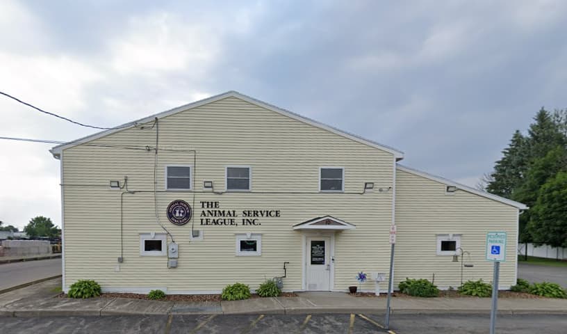 The Animal Service League, Inc.
