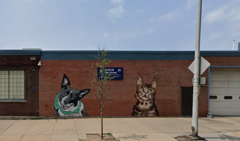 Rochester Animal Services