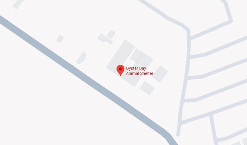 Oyster Bay Animal Shelter