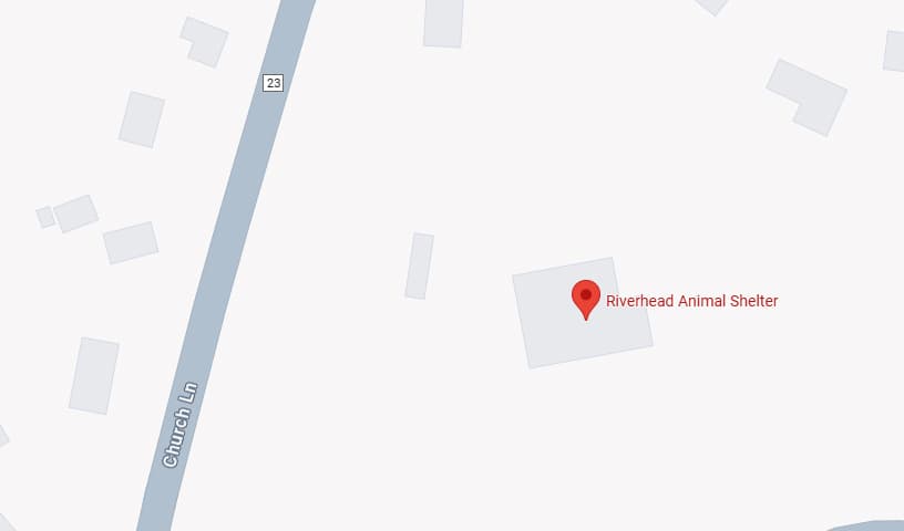 Riverhead Animal Shelter